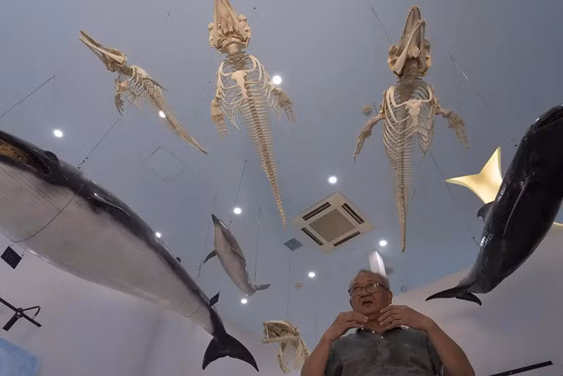 Sự thay đổi này đã gây báo động trong cộng đồng khoa học, trong đó có nhà nghiên cứu kỳ cựu Wang Ding. chum-anh-nhan-giong-cac-loai-dong-vat-quy-hiem-o-trung-quoc-04.jpg