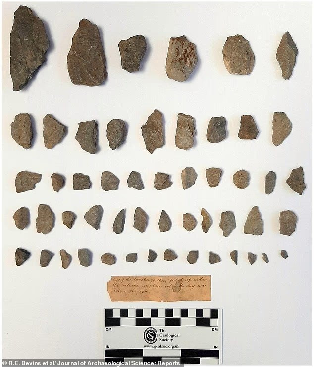 bi-an-stonehenge-duoc-he-mo-sau-5000-nam-nho-nghien-cuu-moi-7.jpg