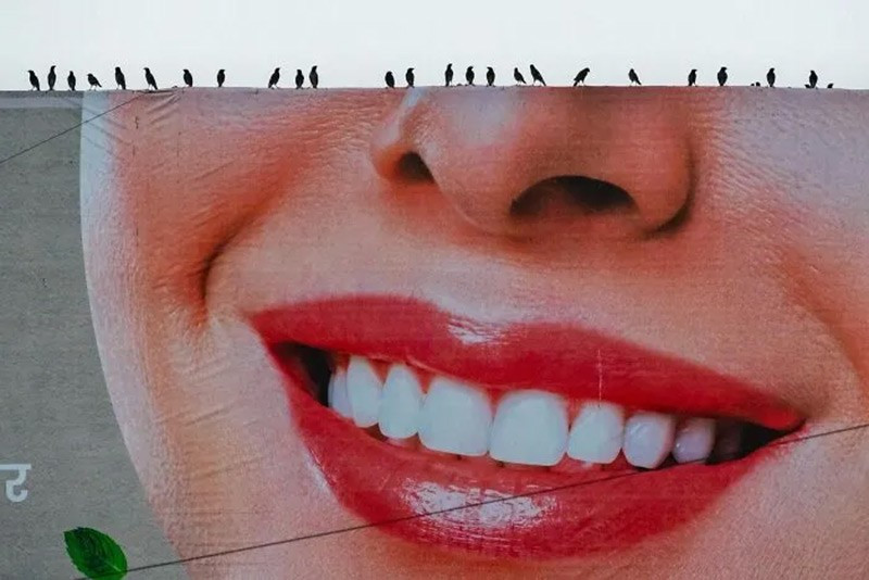 Ở ga tàu, những con sáo hồng đậu phía trên quảng cáo gương mặt cười; nhiếp ảnh gia chụp được khoảnh khắc qua khoảng trống giao thông. chum-anh-cuoc-thi-nhiep-anh-infocus-2025-036.jpg