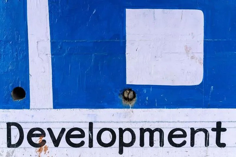 Phát triển đô thị mở rộng, chim thành phố thích nghi; đàn sáo Bank Myna làm tổ trong bức tường từng phủ chữ. chum-anh-cuoc-thi-nhiep-anh-infocus-2025-035.jpg