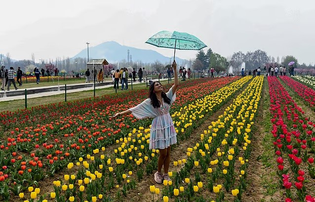 chum-anh-vuon-hoa-tulip-lon-nhat-chau-a-mo-cua-don-du-khach.jpg
