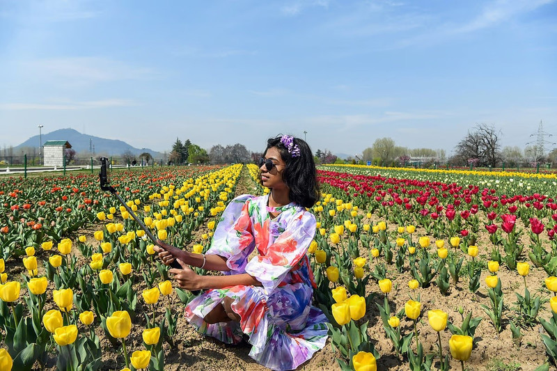 chum-anh-vuon-hoa-tulip-lon-nhat-chau-a-mo-cua-don-du-khach-8.jpg