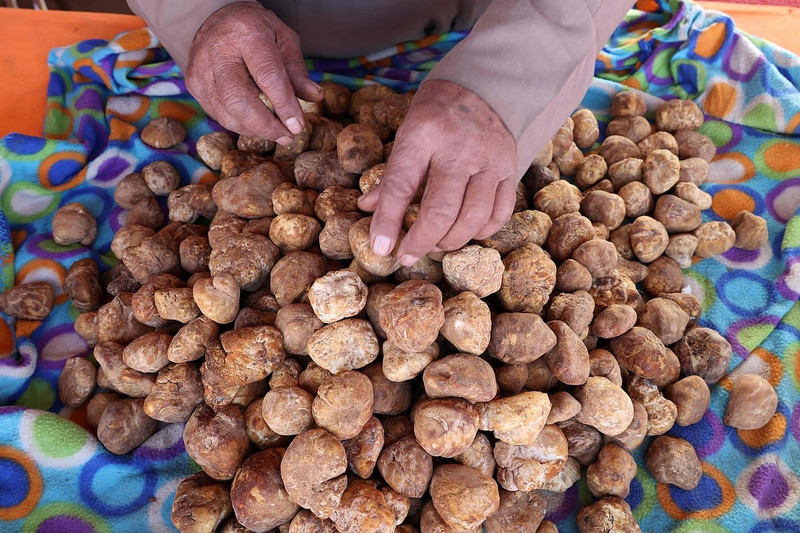 chum-anh-nam-cuc-sa-mac-bieu-tuong-dat-gia-cua-di-san-am-thuc-kuwait-7.jpg