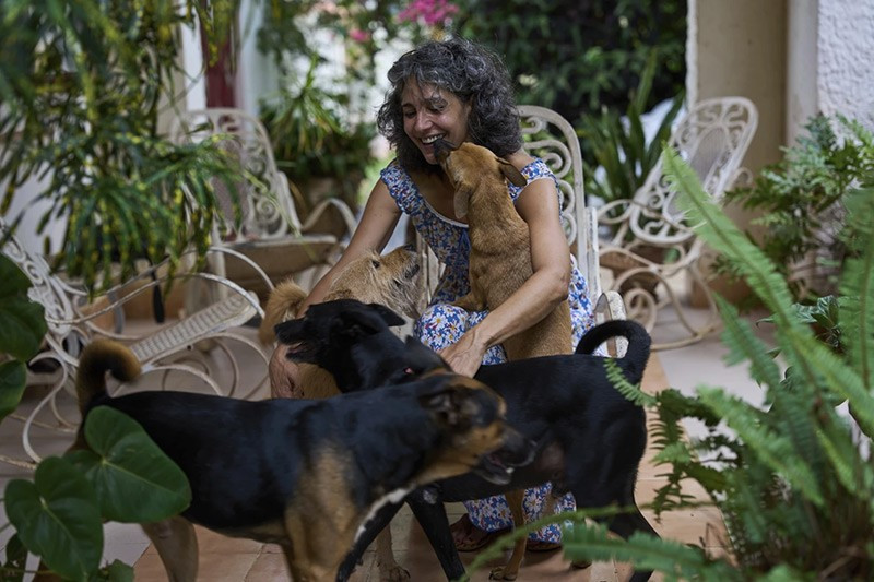 chum-anh-nguoi-cuba-chat-vat-nuoi-meo-va-cho-hoang-04.jpg