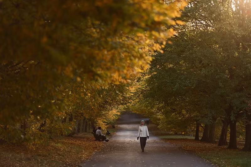 Một người phụ nữ đi dưới tán lá mùa thu tại công viên Greenwich ở London, Anh. Ảnh: Reuters. chum-anh-mua-thu-tren-khap-the-gioi-1105-010.jpg