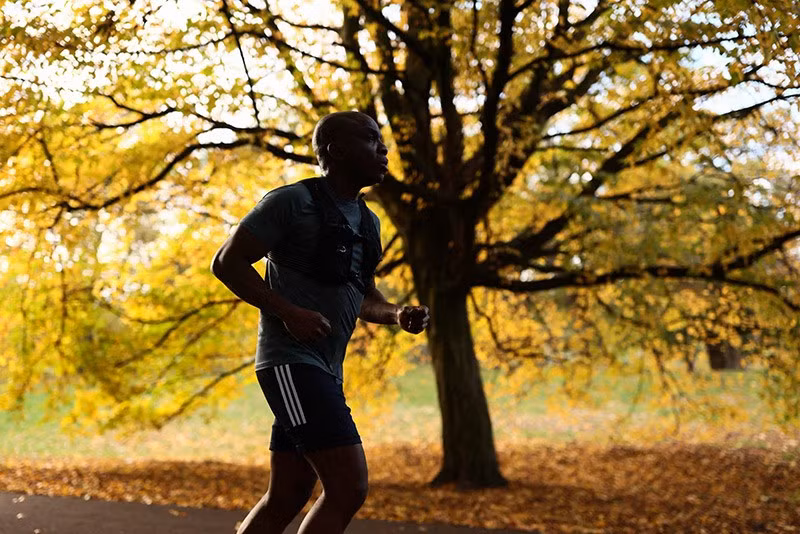 Một người đàn ông chạy bộ qua hàng cây mùa thu tại công viên Greenwich ở London, Anh. Ảnh: Reuters. chum-anh-mua-thu-tren-khap-the-gioi-1105-016.jpg