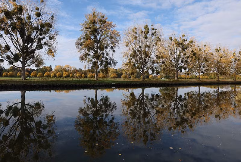 Lá mùa thu phản chiếu trên sông Thames, phía sau là lâu đài Windsor ở Anh. Ảnh: Reuters. chum-anh-mua-thu-tren-khap-the-gioi-1105-015.jpg