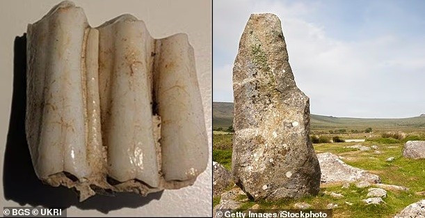 chiec-rang-he-lo-bi-mat-5000-nam-cua-stonehenge-6.jpg
