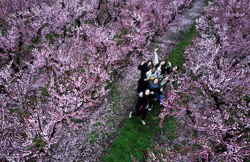 Hình ảnh chụp từ máy bay không người lái cho thấy những người phụ nữ đang chụp ảnh giữa những cây đào đang nở hoa ở Aitona, tỉnh Lleida của Catalonia, Tây Ban Nha. Ảnh: REUTERS/Nacho Doce chum-anh-mua-xuan-tren-khap-the-gioi-05-018.jpg