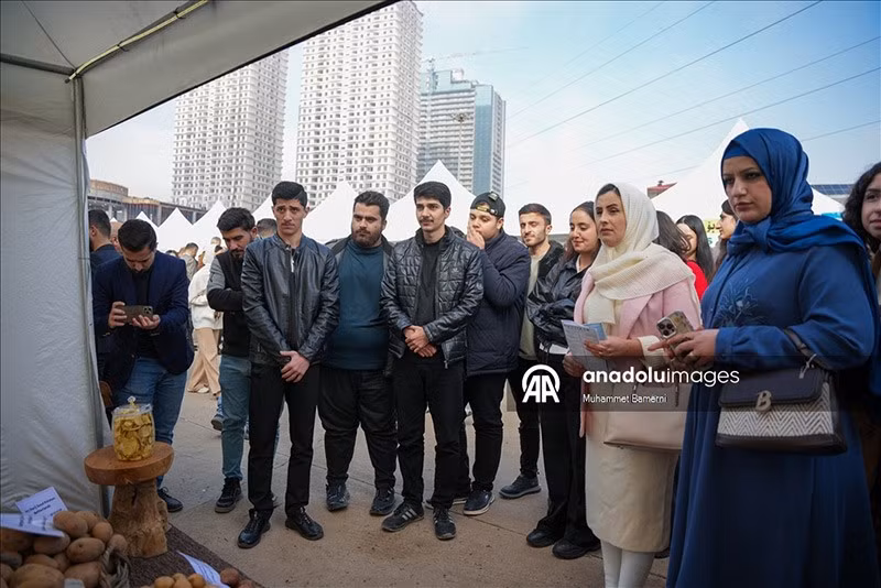 Không khí lễ hội khoai tây tại Duhok sôi động với sự tham gia của hơn 10 nông dân, 15 công ty và nhiều nhà hàng, tạo nên sự kiện nông nghiệp độc đáo. chum-anh-le-hoi-khoai-tay-o-iraq-1205-013.jpg