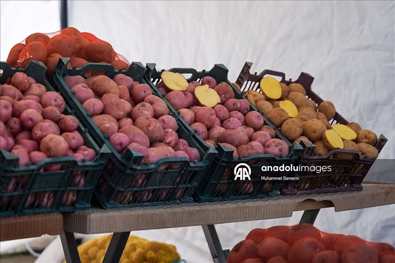 Người dân và doanh nghiệp cùng tham gia lễ hội khoai tây lần đầu tiên ở Duhok, với sự góp mặt của 15 công ty và nhiều nhà hàng, tạo nên không khí sôi động và đa dạng sản phẩm. chum-anh-le-hoi-khoai-tay-o-iraq-1205-02.jpg