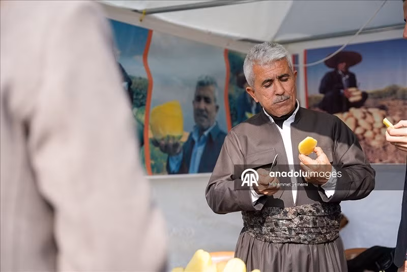 Gian hàng khoai tây tại lễ hội ở Duhok, nơi 50 gian hàng được dựng lên để trưng bày sản phẩm, thu hút đông đảo khách tham quan và tạo cơ hội quảng bá cho hơn 10 nông dân địa phương. chum-anh-le-hoi-khoai-tay-o-iraq-1205-01.jpg