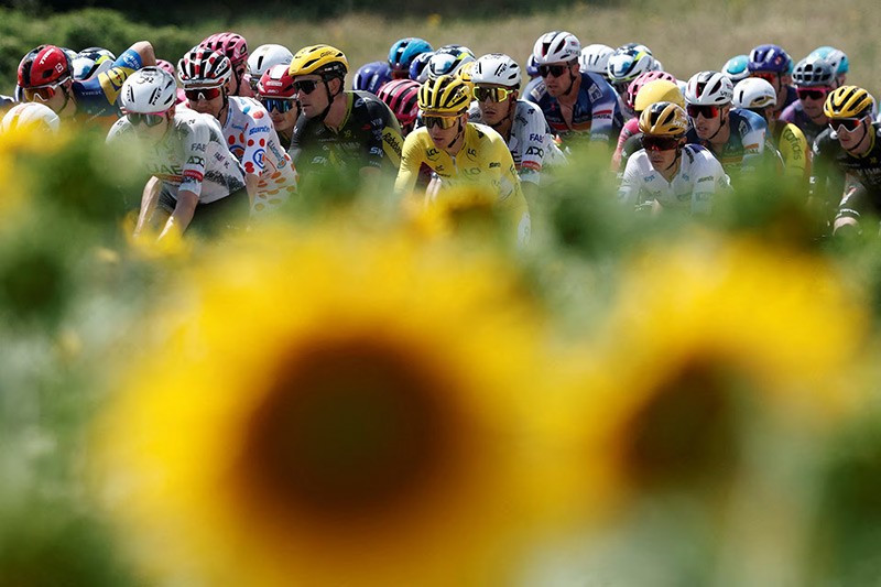 chum-anh-hinh-anh-dep-nhat-giai-dua-xe-dap-tour-de-france-2025-06.jpg