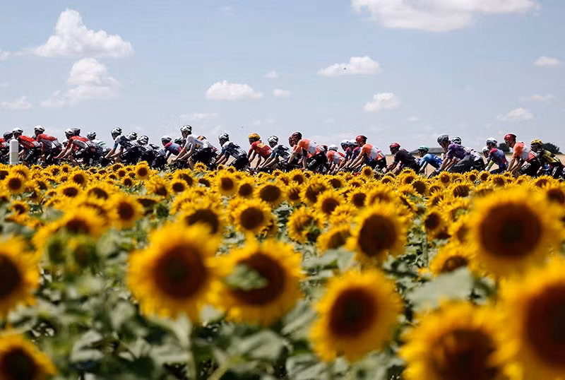 Toàn cảnh các tay đua đang tranh tài ở chặng 9 — Chinon, Pháp chum-anh-hinh-anh-dep-nhat-giai-dua-xe-dap-tour-de-france-2025-01.jpg