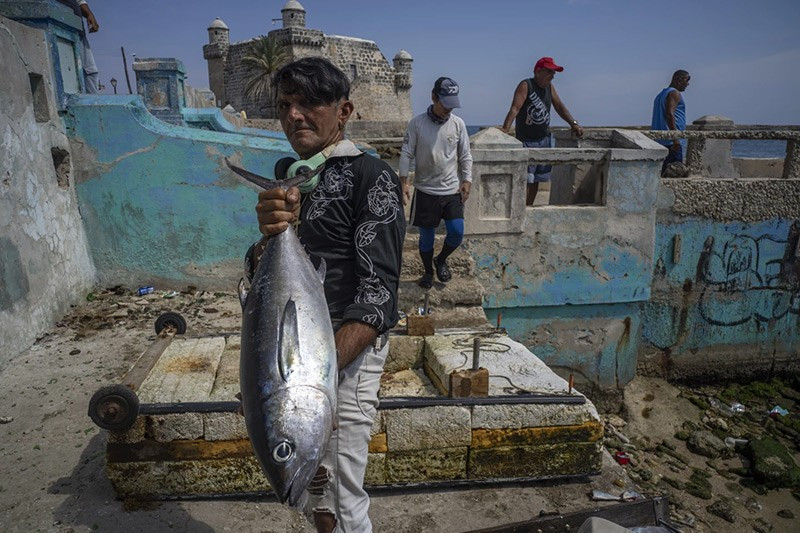 Đối với những ngư dân không đủ khả năng mua hoặc đóng thuyền, những chiếc bè tạm bợ này có nghĩa là thức ăn trên bàn và nếu đánh bắt được nhiều, một số cá có thể bán ở chợ hoặc nhà hàng để kiếm thêm thu nhập. chum-anh-nguoi-dan-cuba-su-dung-be-corchos-bat-ca-02.jpg