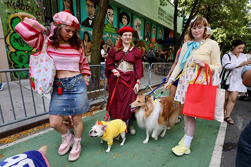 chum-anh-nhung-chu-cho-halloween-05-015.jpg