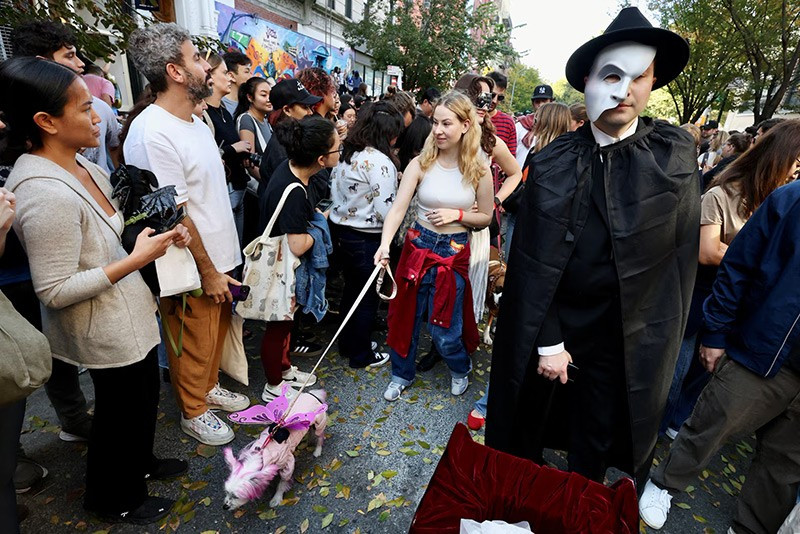 chum-anh-nhung-chu-cho-halloween-05-019.jpg