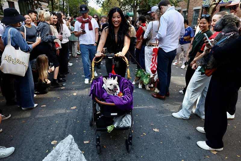 chum-anh-nhung-chu-cho-halloween-05-014.jpg