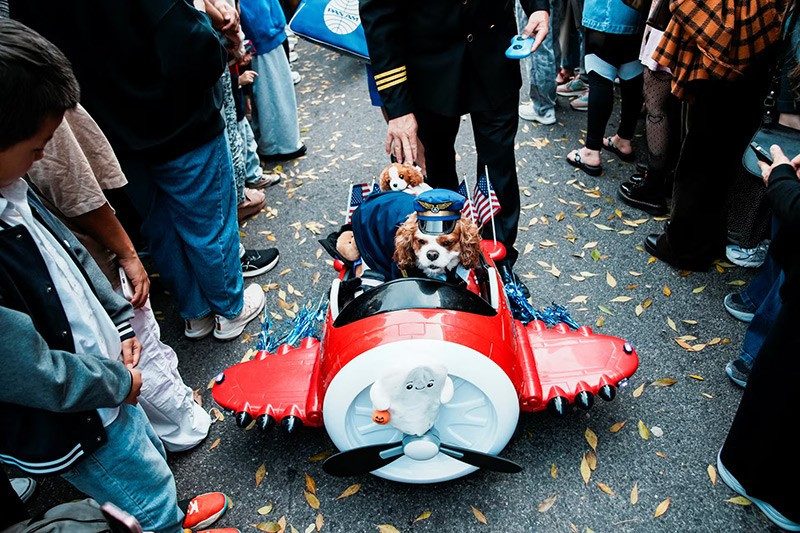 chum-anh-nhung-chu-cho-halloween-05-010.jpg