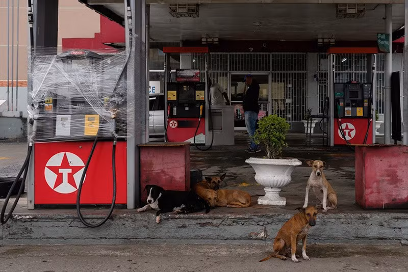 Các vòi bơm xăng được bọc nilon tại một trạm xăng trước khi Bão Melissa đến Kingston, Jamaica, ngày 26/10 chum-anh-bao-melissa-anh-huong-vung-caribe-05-03.jpg