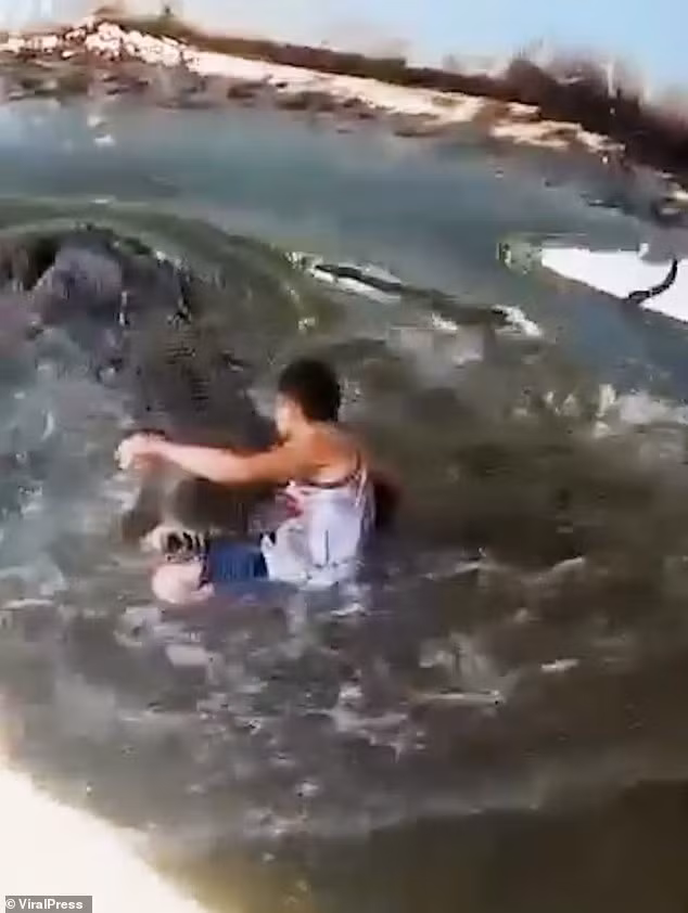 Đoạn video rùng rợn cho thấy du khách rên rỉ trong đau đớn khi con thú săn mồi kẹp chặt hàm răng của nó vào cánh tay anh ta, từ chối để anh ta rời khỏi chuồng. video-du-khach-tra-gia-dat-vi-vao-chuong-ca-sau-chup-anh-3.jpg