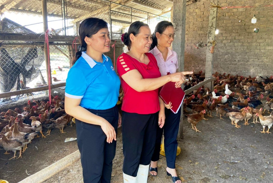 Bà Lê Thị Thu, ở thôn Phu Huệ, xã Hoàng Giang, huyện Nông Cống (Thanh Hóa) bên mô hình chăn nuôi của gia đình. (Ảnh: NHCC)