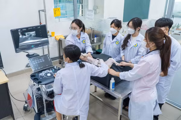 Hoạt động thực hành giúp sinh viên rèn kỹ năng nghề nghiệp ngay từ những năm đầu đào tạo.
