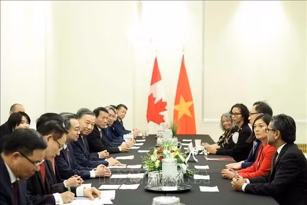 Tổng Bí thư, Chủ tịch nước Tô Lâm tiếp Nhóm Nghị sĩ hữu nghị Canada - Việt Nam. Ảnh: Thống Nhất/TTXVN