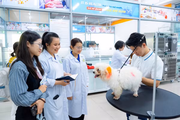 Sinh viên thực hành ngay tại giảng đường. Ảnh: HUTECH. 