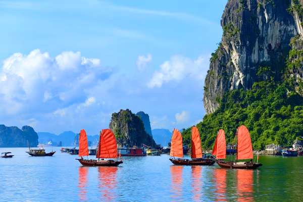Những cánh buồm đỏ thắm trên vịnh Hạ Long.