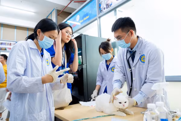 Sinh viên Khoa Thú y trong giờ học. Ảnh: HUTECH. 
