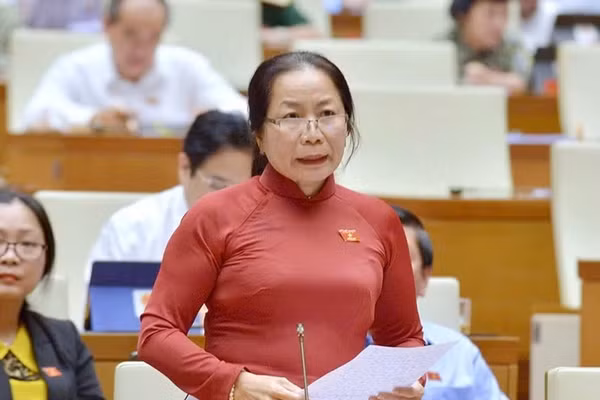 Bà Tăng Thị Ngọc Mai - Đại biểu Quốc hội khóa XIV, nguyên Phó Giám đốc Sở Giáo dục và Đào tạo Trà Vinh (nay là tỉnh Vĩnh Long). Ảnh: NVCC.