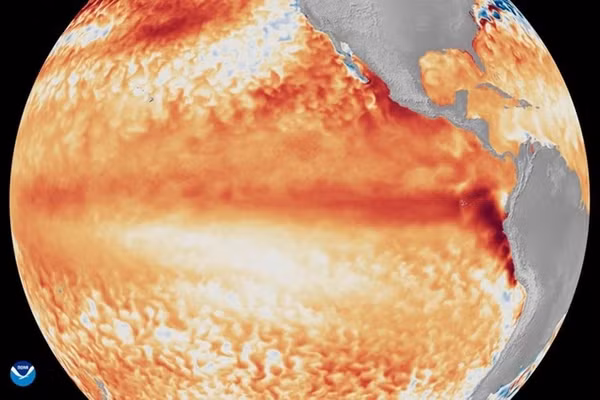 El Niño chính thức xuất hiện, có khả năng trở thành El Niño mạnh nhất lịch sử kể từ năm 1950. (Nguồn: NOAA).
