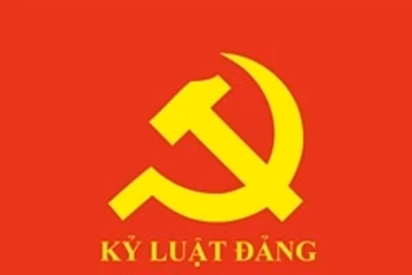 Bộ Chính trị, Ban Bí thư xem xét thi hành kỷ luật tổ chức đảng, Đảng viên vi phạm