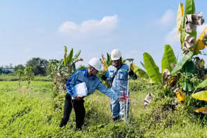 Dự án đường cao tốc TPHCM - Mộc Bài đang được đẩy nhanh tiến độ.