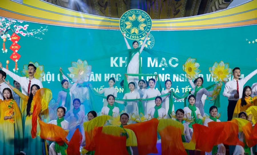 hoichoxuanjpg2.jpg