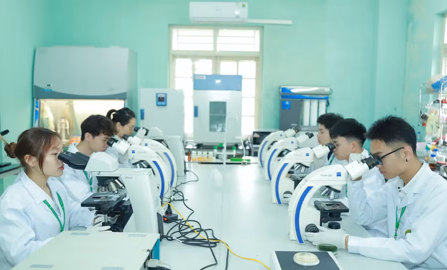 Hoạt động nghiên cứu khoa học tại Học viện Nông nghiệp Việt Nam.