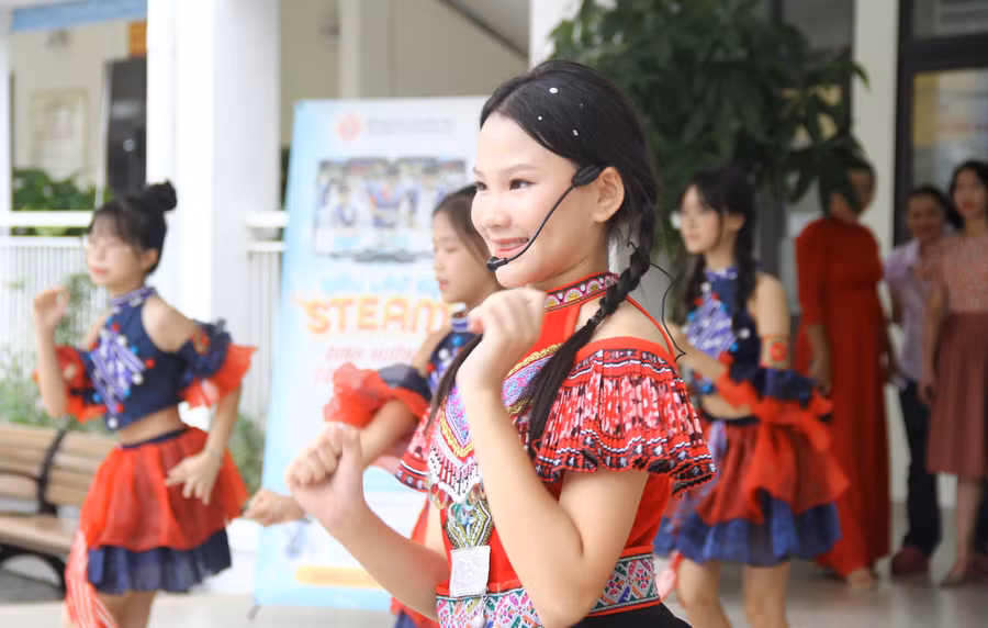 stem-1.jpg