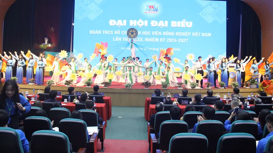 doanthanhnien-2.jpg