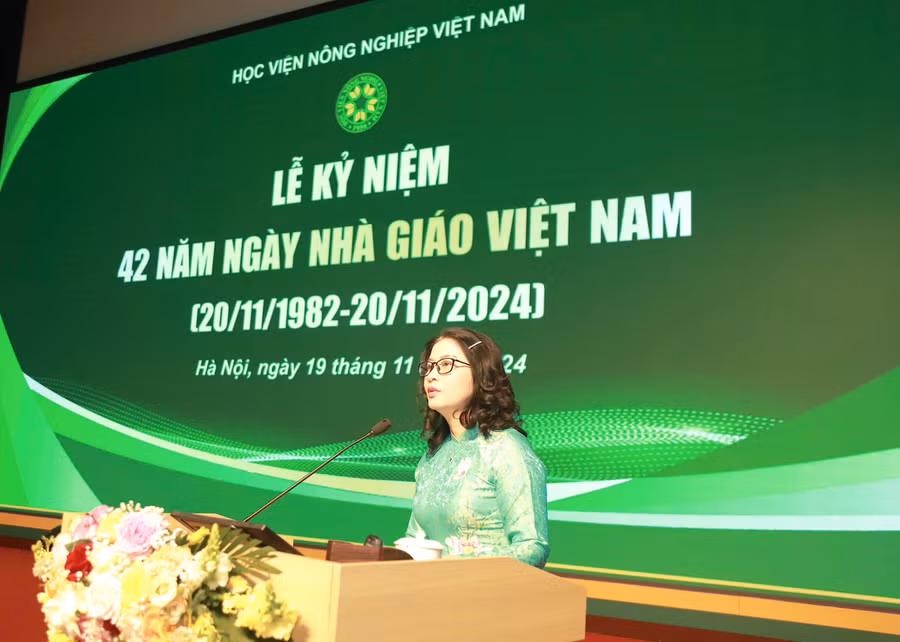 gsnguyenthilan.jpg