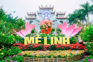 Nhiều ca sĩ nổi tiếng sẽ xuất hiện tại ngày khai mạc Lễ hội hoa Mê Linh lần thứ 2.