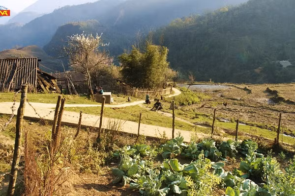 Cảnh phim 'Thung lũng hoang vắng' (năm 2001).