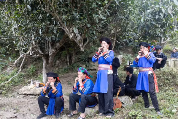 Người Cơ Lao với thú vui độc đáo - thổi hồn vào thiên nhiên.