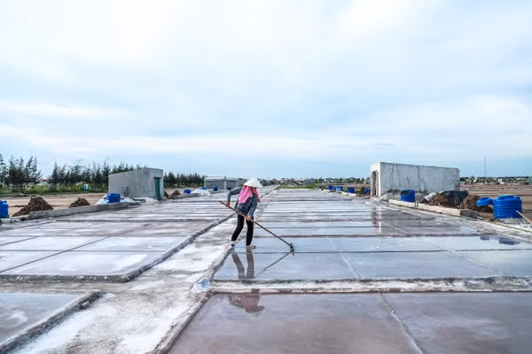 Diêm dân cần mẫn làm việc trên cánh đồng muối. 