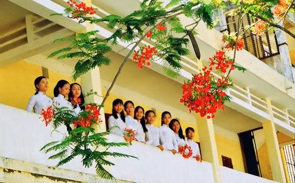 Mùa phượng vĩ đã xa, Lê Thị Hằng, hoa phượng vĩ, tuổi học trò, hoài niệm, ký ức tuổi hoa niên, tình bạn, mùa hè, tản mạn, thanh xuân.