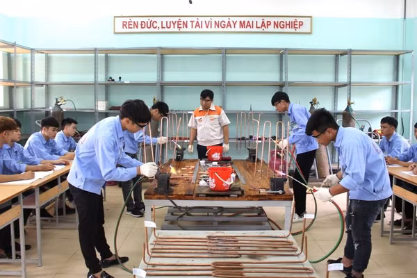 Phát triển giáo dục nghề nghiệp tạo sinh kế bền vững vùng khó Phú Thọ