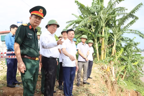 Ông Trần Duy Đông, Chủ tịch UBND tỉnh Phú Thọ kiểm tra khu vực sạt lở ở xã Tam Nông.