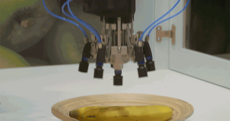 Vì sao chế tạo một cánh tay robot cầm chuối lại khó đến vậy?