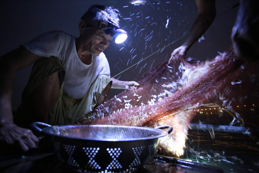 Những cánh vờ khô nhẹ bồng bềnh trong nắng, như biểu tượng của một kiếp phù sinh. con-vo-vo-chap-canh-tuoi-tho-7.jpg