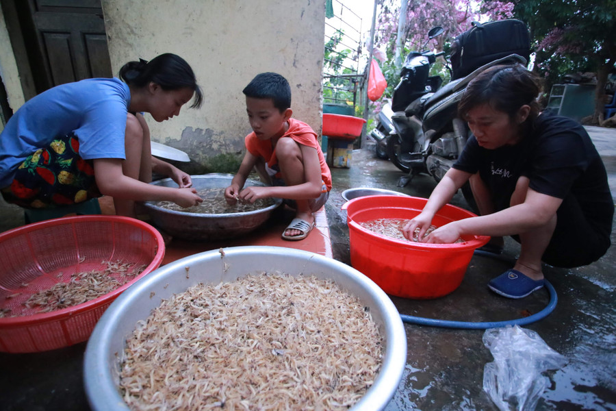 Trẻ em vùng sông nghịch nước và nhặt vờ trong ký ức tuổi thơ xóm chài. con-vo-vo-chap-canh-tuoi-tho-5.jpg
